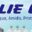 Toko Lie Lie Company Logo Toko Lie Lie Logo